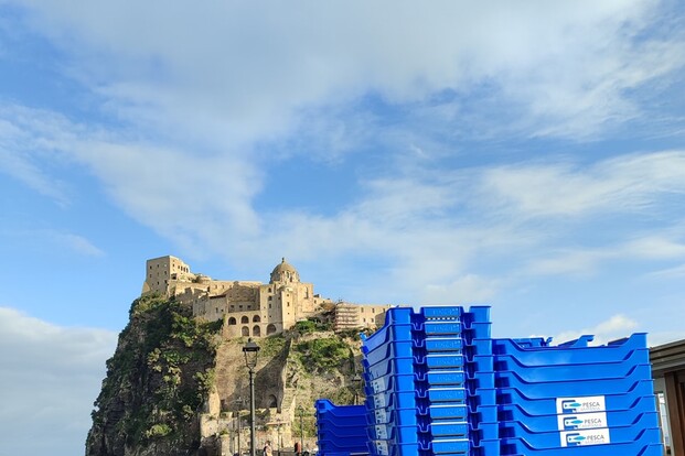 Golfo di Napoli. Arrivano le cassette salva mare per i pescatori. | No-Plastic Challenge