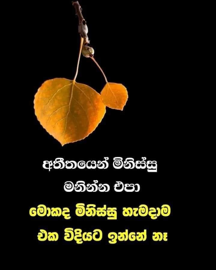 Lasith cuamika Talpe gamage | No-Plastic Challenge