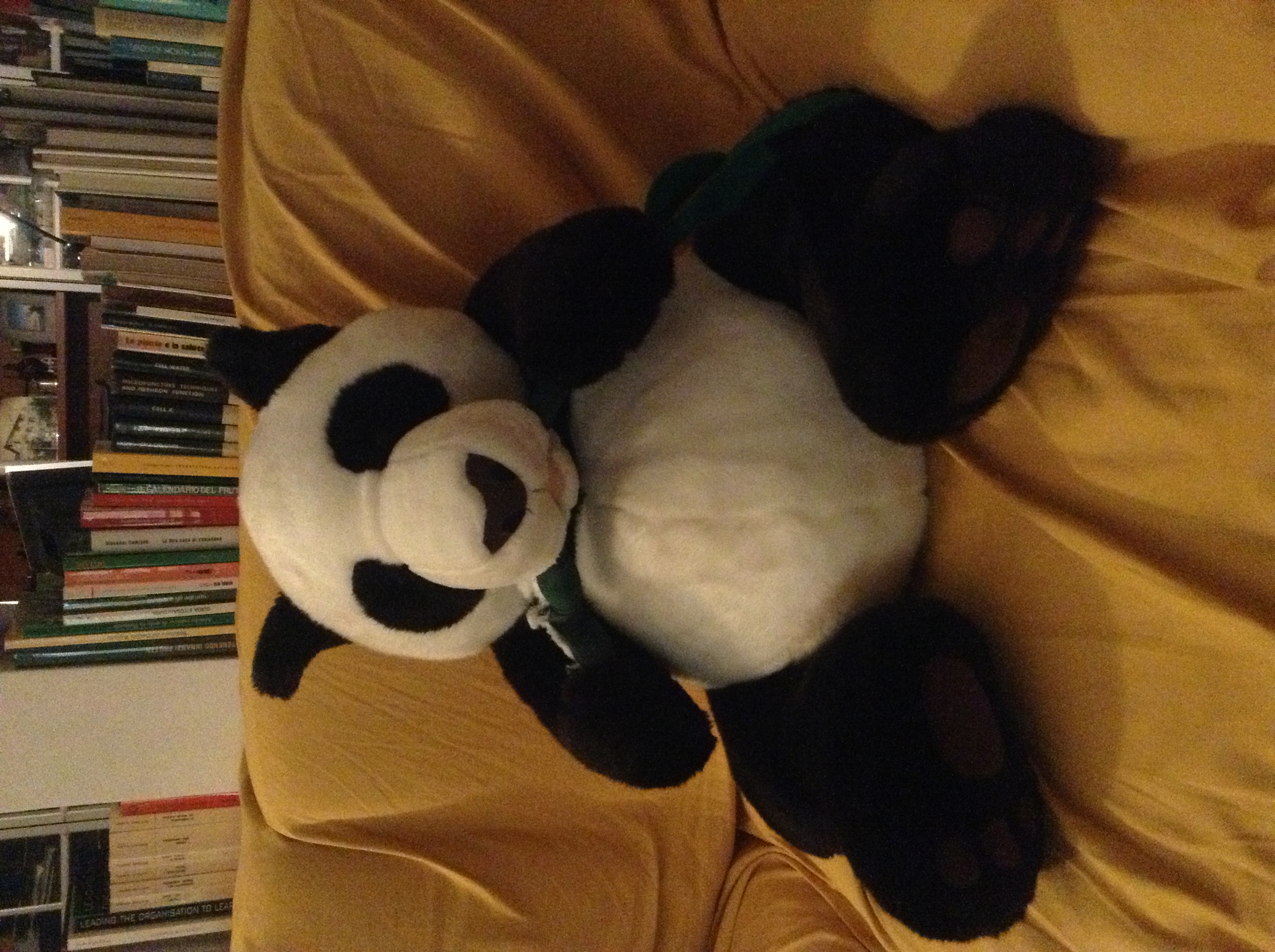 rossana revello | No-Plastic Challenge