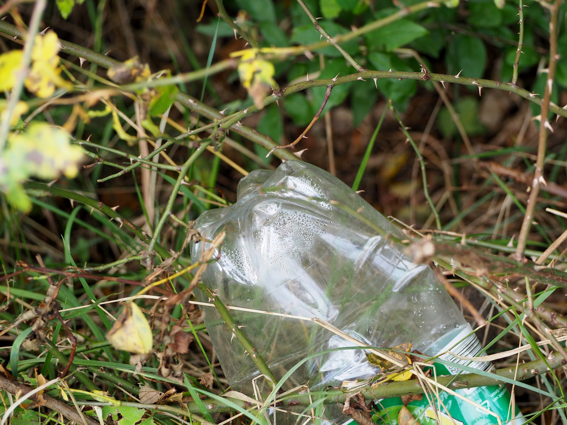 Plastica, una battaglia che non possiamo rimandare. | No-Plastic Challenge