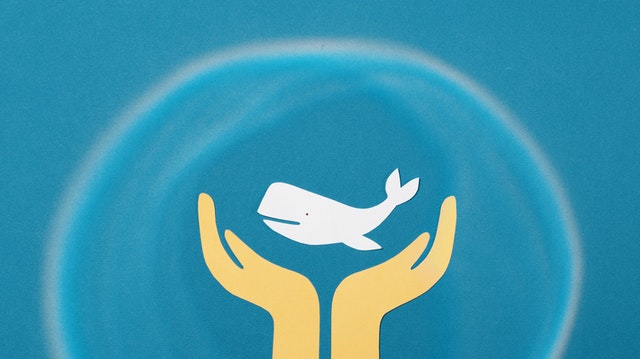 I nostri consigli per ridurre il tuo impatto ambientale | No-Plastic Challenge