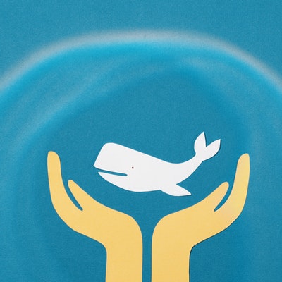 Attivista e difensore del Pianeta | No-Plastic Challenge